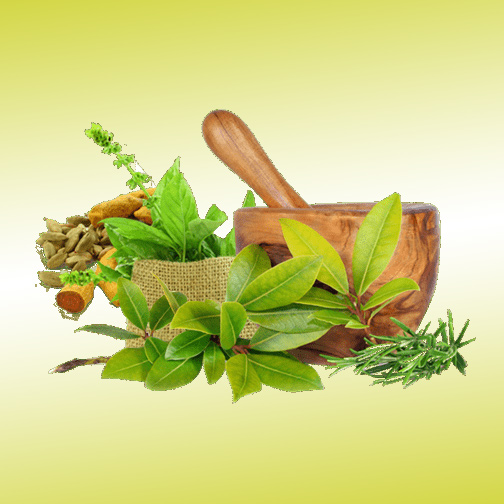 Ayurvedic Medicine